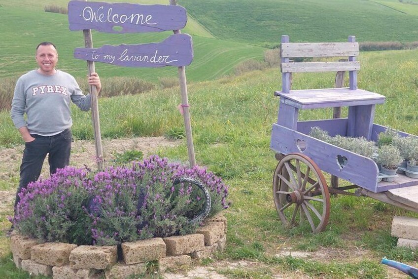 Private Guided Tour to Pisa and local Wine Farm from Livorno port 4