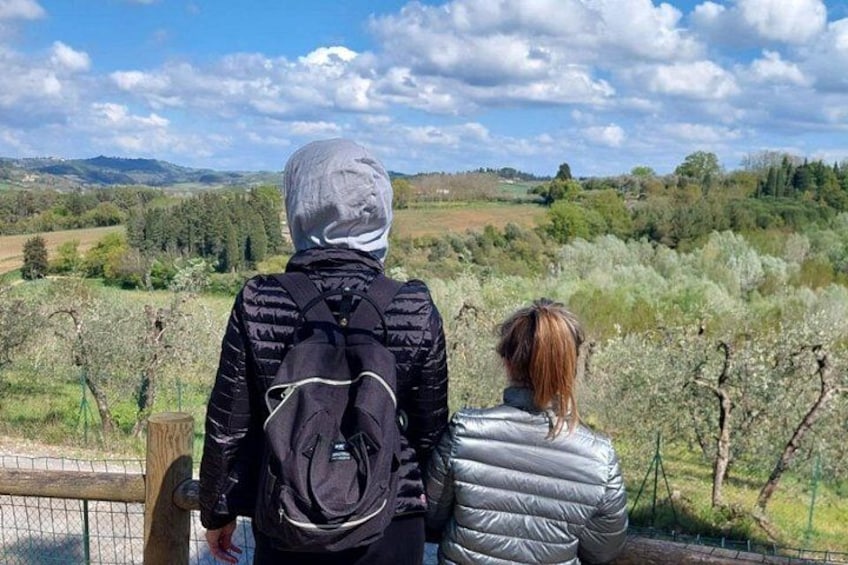 Private Guided Tour to Pisa and local Wine Farm from Livorno port 3