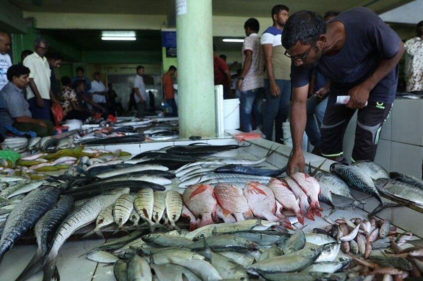 Local Fish Market 3