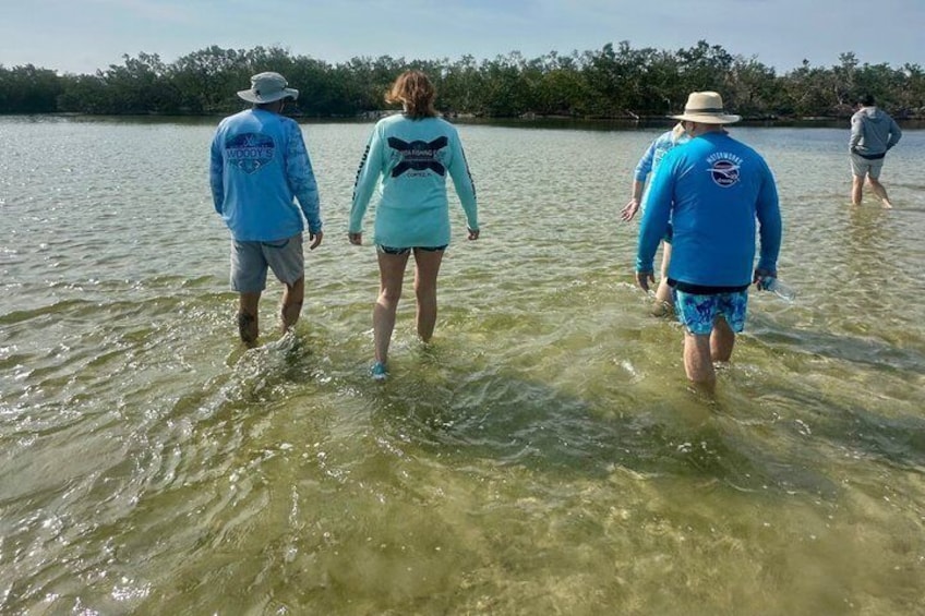 Clear Kayak Ecotour at Robinson Preserve in Bradenton, Florida 2