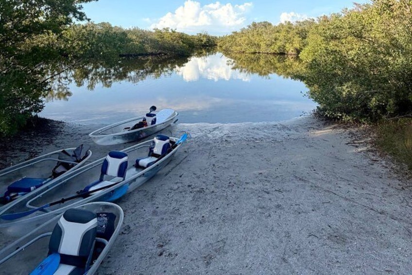 Clear Kayak Ecotour at Robinson Preserve in Bradenton, Florida 5