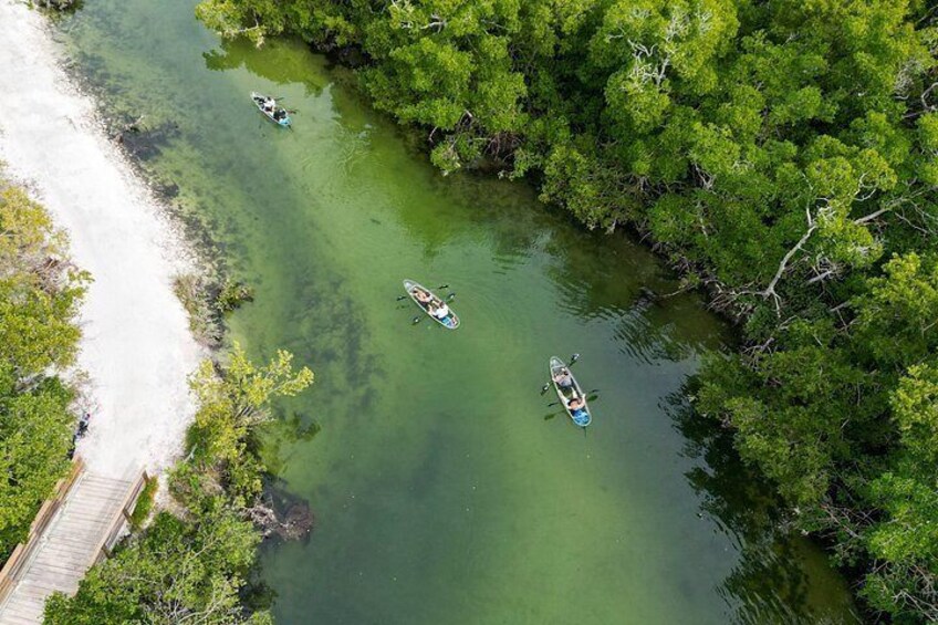 Clear Kayak Ecotour at Robinson Preserve in Bradenton, Florida 5