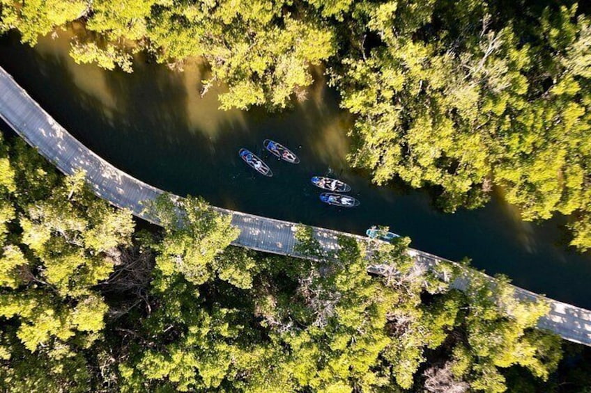 Clear Kayak Ecotour at Robinson Preserve in Bradenton, Florida 2