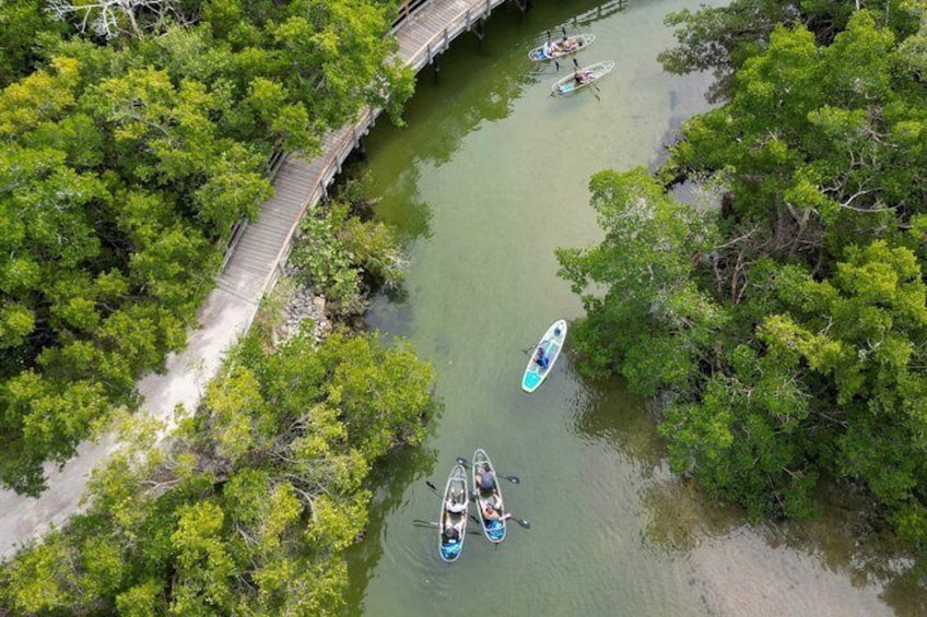 Clear Kayak Ecotour at Robinson Preserve in Bradenton, Florida 4