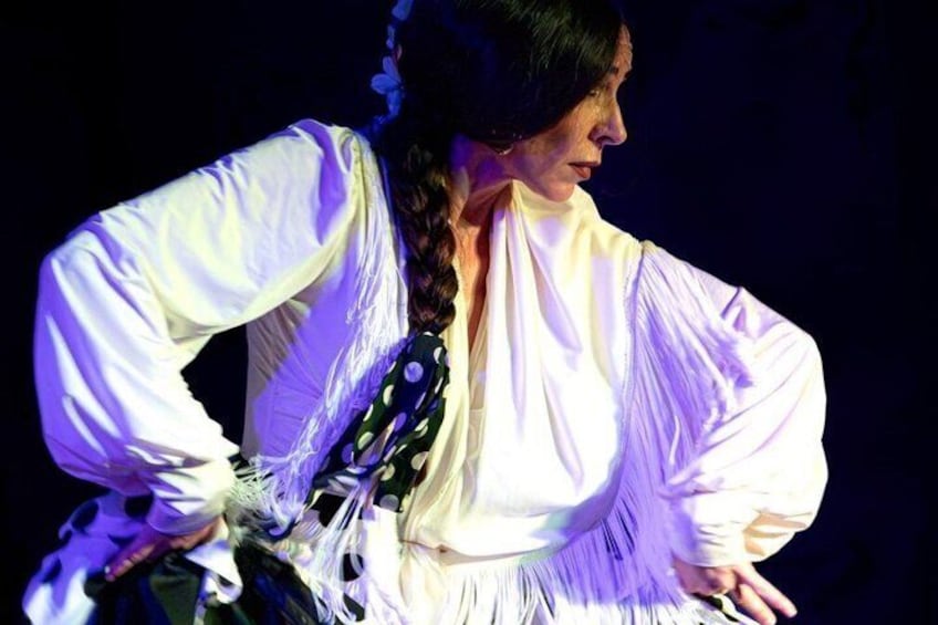 Flamenco Show at Palacio Granada 3
