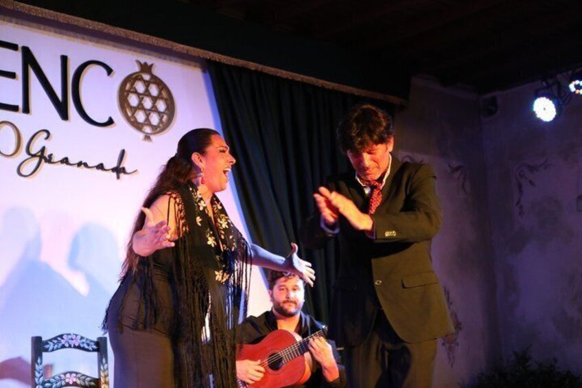 Flamenco Show at Palacio Granada 5
