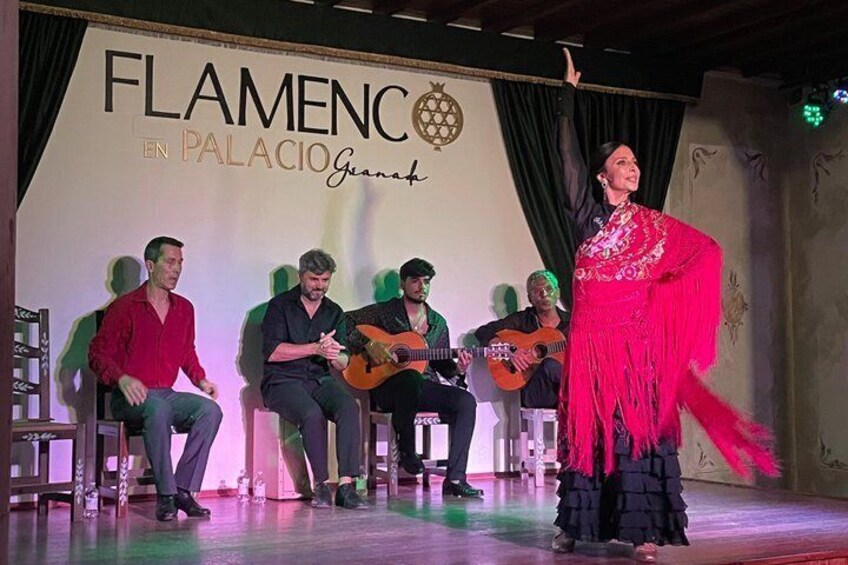 Flamenco Show at Palacio Granada 5