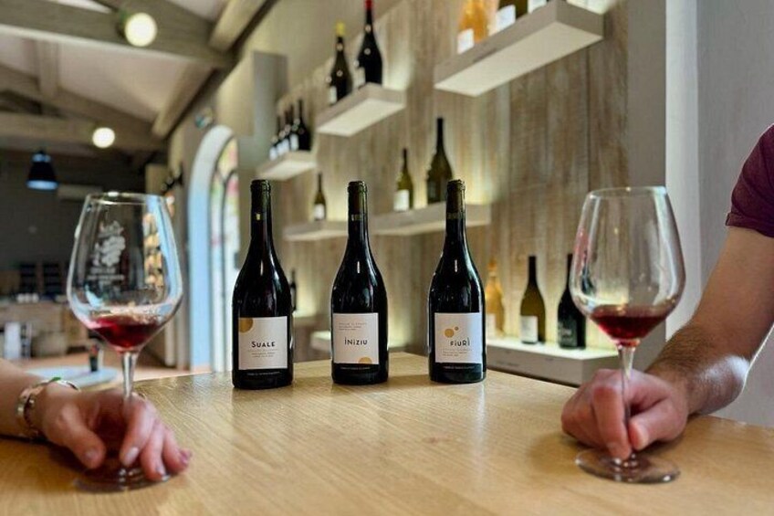 Corsican Wine Tour & Picnic in Calvi 3
