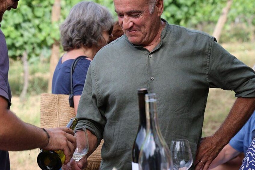 Corsican Wine Tour & Picnic in Calvi 4