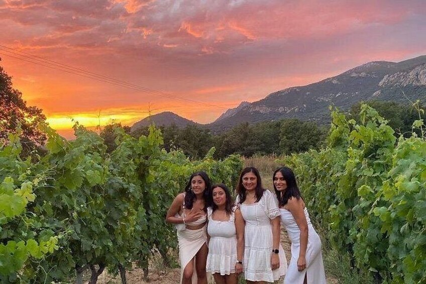 Corsican Wine Tour & Picnic in Calvi 4