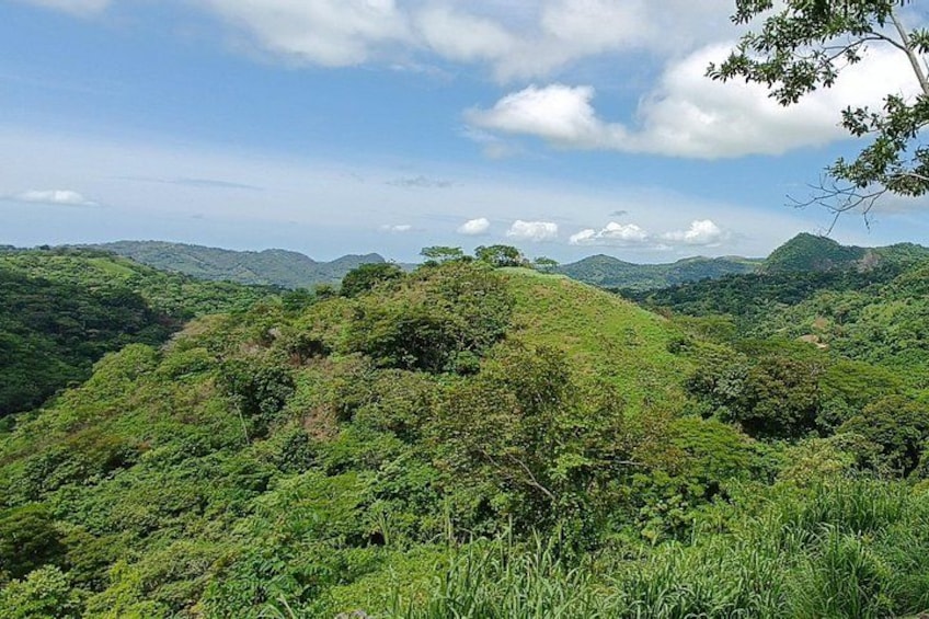 A lush green landscape with rolling hills and dense vegetation. 4