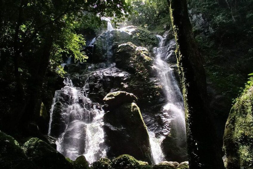 A waterfall cascading over rocks in a forested area. 1