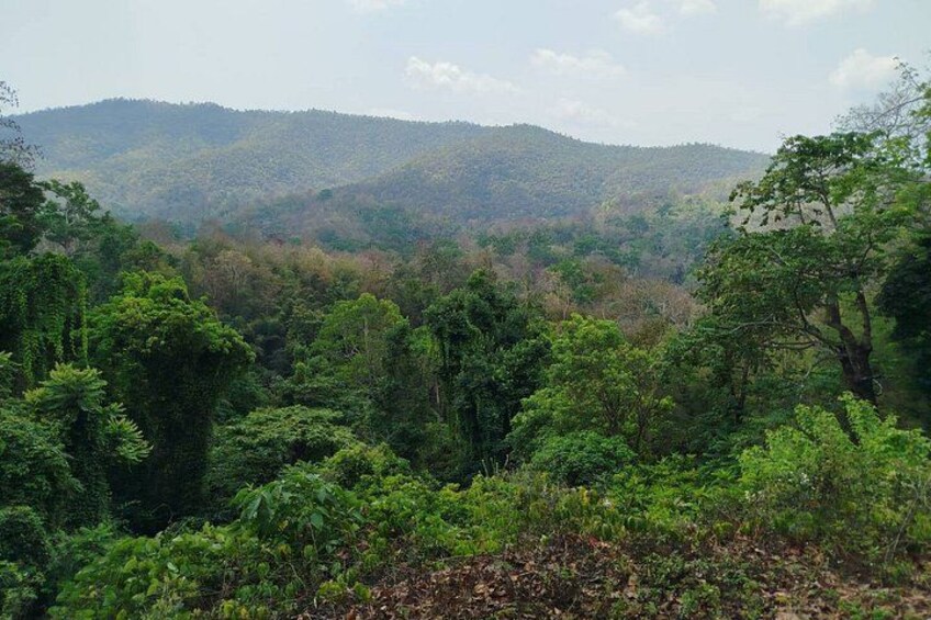 The Best Full Day Tour: Doi Suthep, Wat Phalat, Sticky Waterfall 5