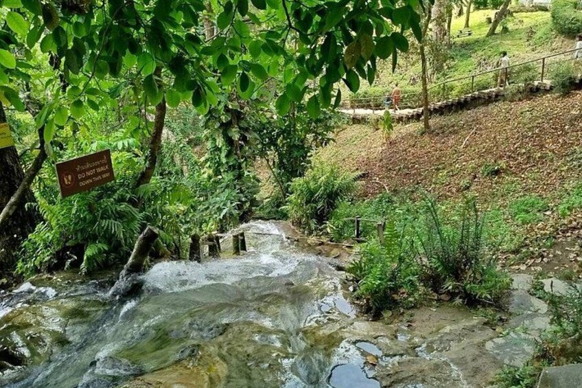 The Best Full Day Tour: Doi Suthep, Wat Phalat, Sticky Waterfall 3