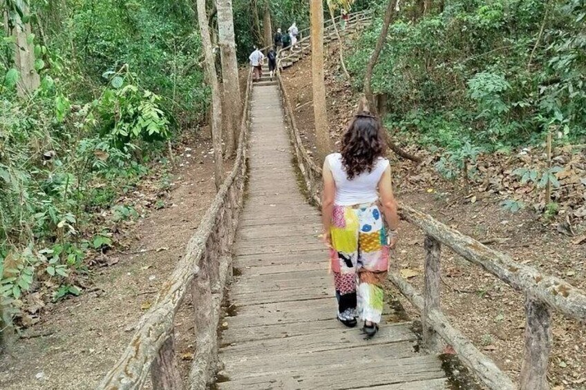 The Best Full Day Tour: Doi Suthep, Wat Phalat, Sticky Waterfall 3