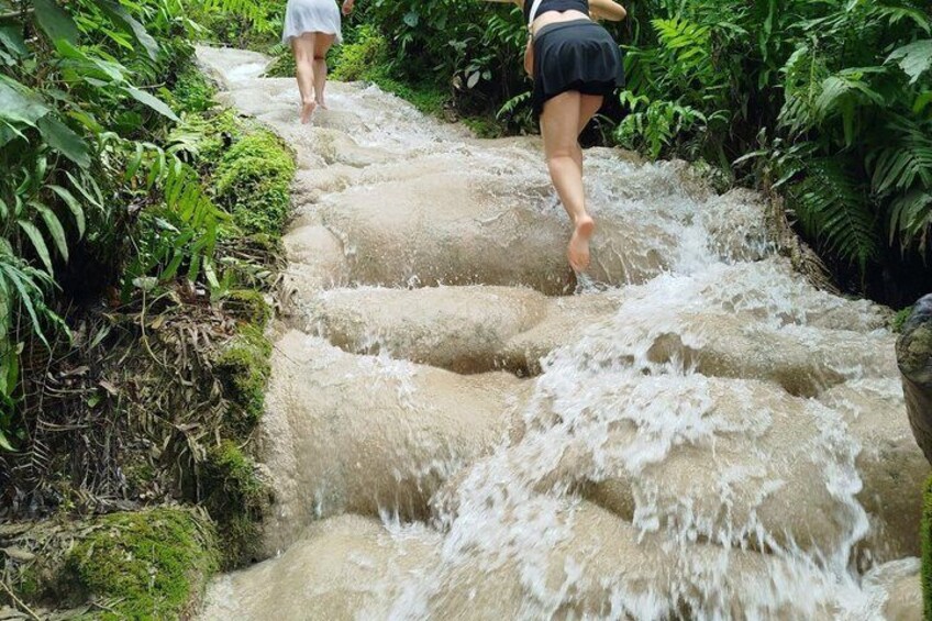 The Best Full Day Tour: Doi Suthep, Wat Phalat, Sticky Waterfall 4