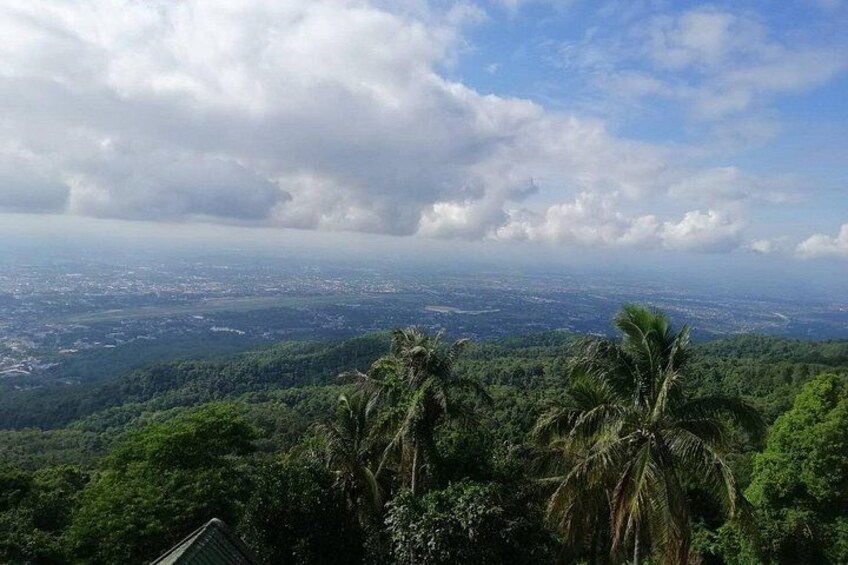 Un paysage montagneux, caractérisé par une végétation luxuriante et la présence de palmiers. 4