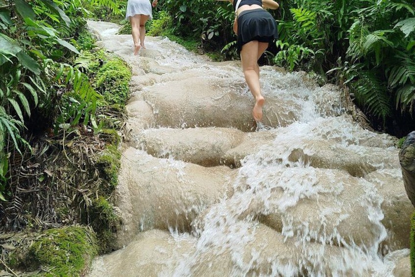 The Best Full Day Tour: Doi Suthep, Wat Phalat, Sticky Waterfall 4