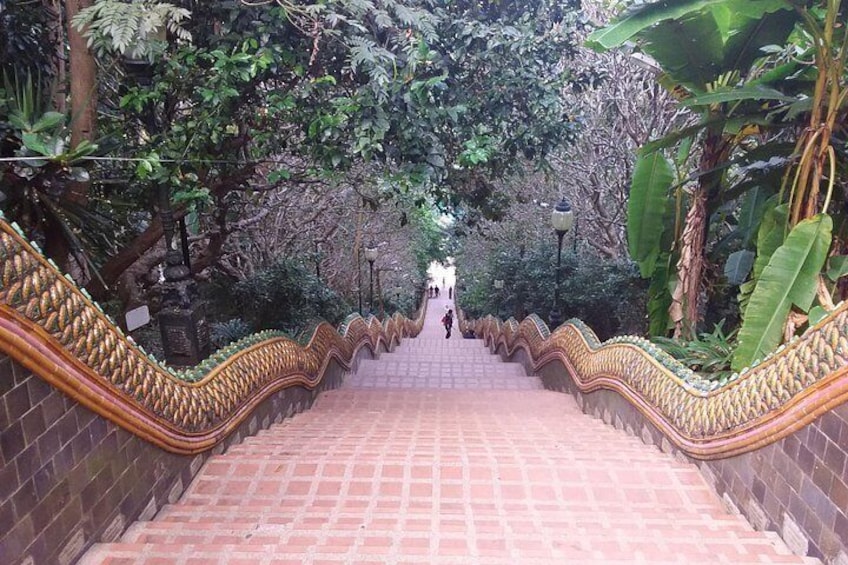 The Best Full Day Tour: Doi Suthep, Wat Phalat, Sticky Waterfall 5