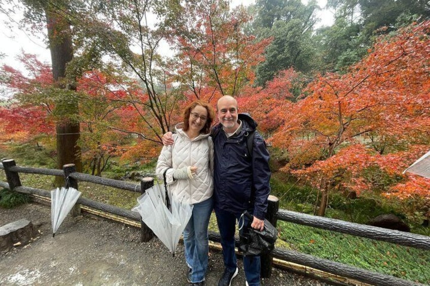 From Tokyo to Kyoto and Nara: A Captivating Full-Day Private Tour 2