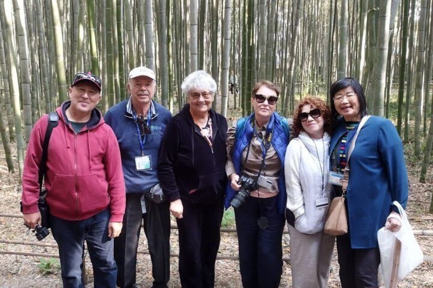 From Tokyo to Kyoto and Nara: A Captivating Full-Day Private Tour 3