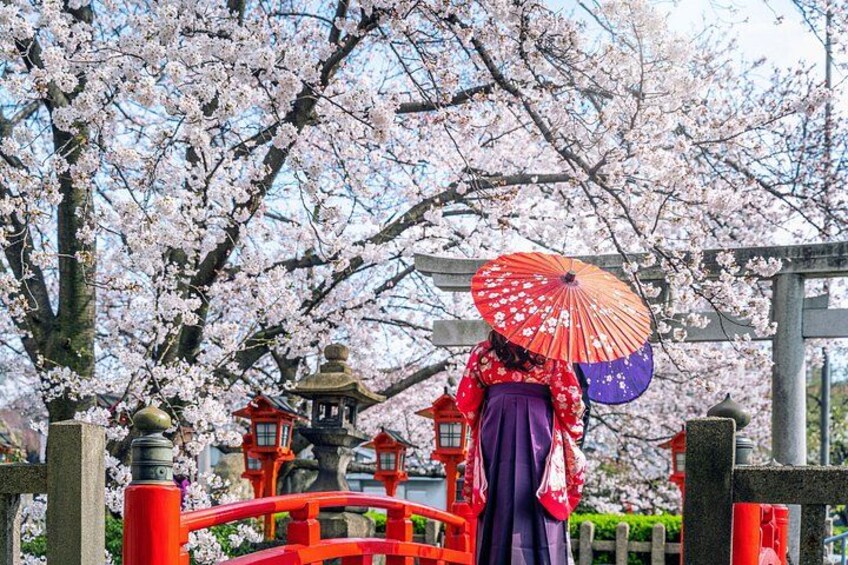 From Tokyo to Kyoto and Nara: A Captivating Full-Day Private Tour 3