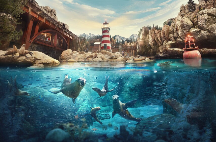 Abu Dhabi Mosque & Sea World Tour From Dubai 1