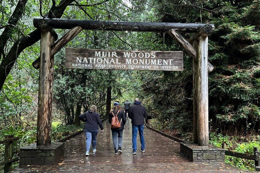 Muir Woods National Park 2