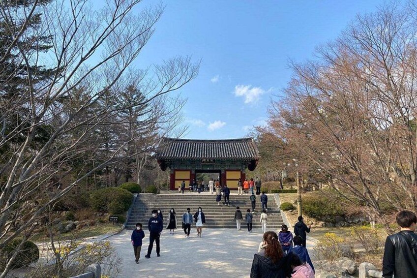 Guided Car Tour in Geyongju with a Local Guide 2