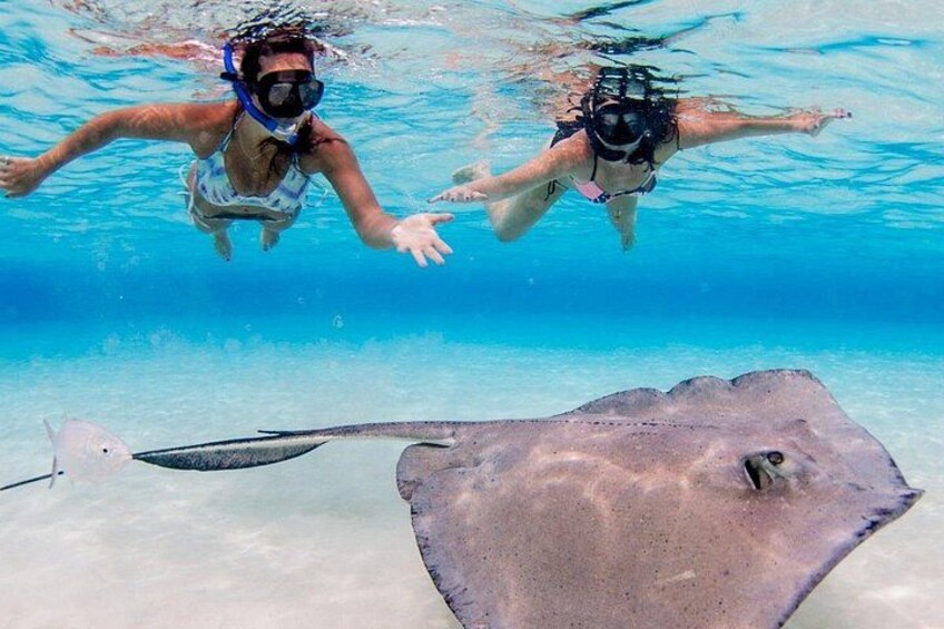 Grand Cayman 3-Stop Adventure: Stingray City & Reef Snorkeling 1