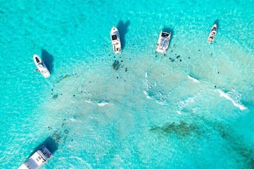 Stingray City Grand Cayman tour from The Kimpton