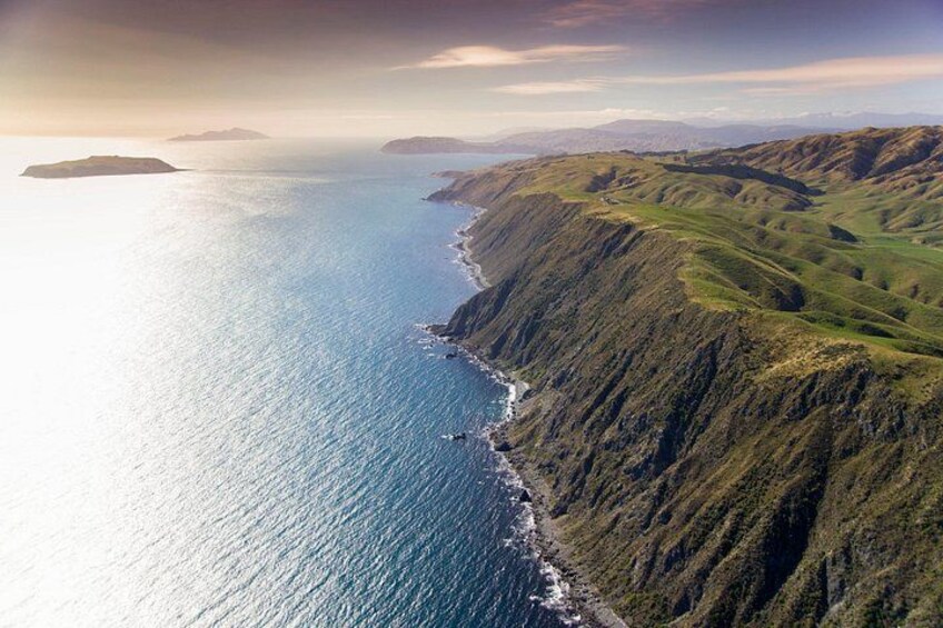 South Coast 5