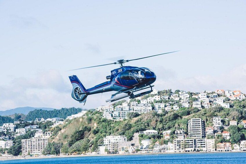 Wellington South Coast Discovery Helicopter Flight 2
