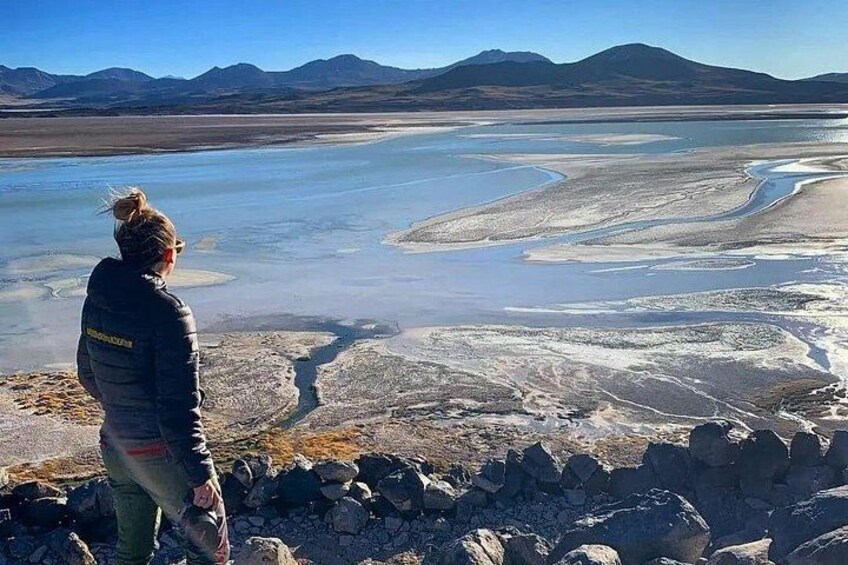 Private Expeditions Salar de Tara and Pujsa 5