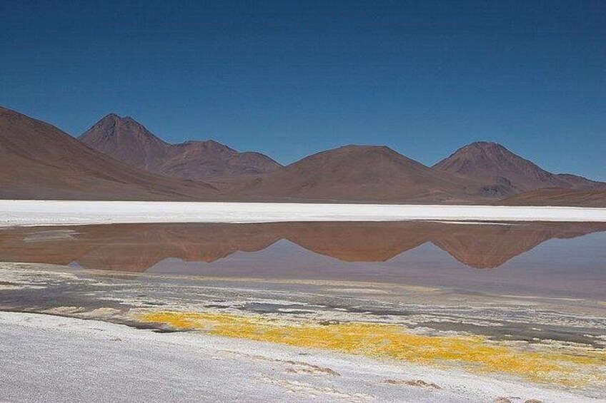 Private Expeditions Salar de Tara and Pujsa 2