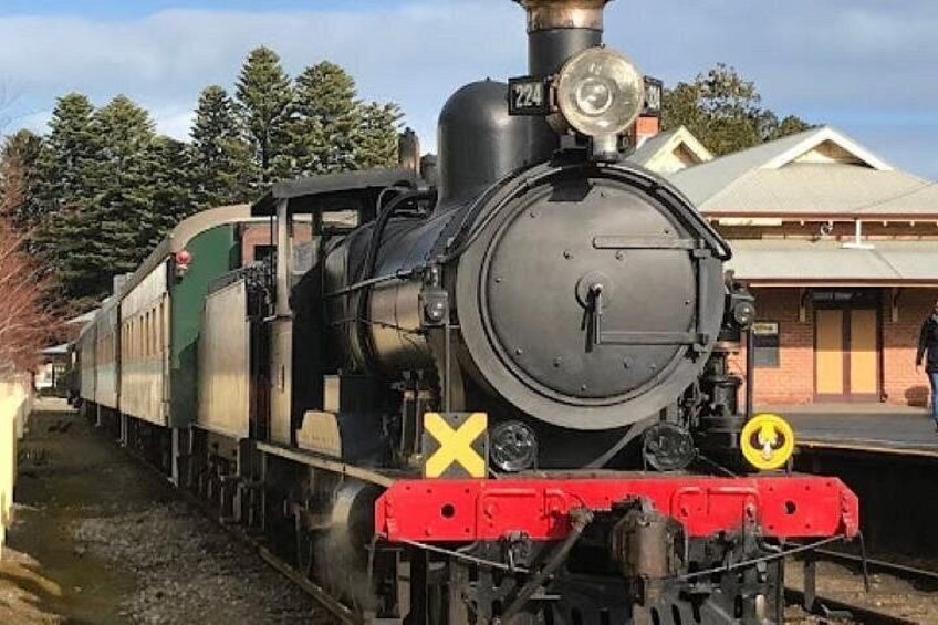 Cockle Train travels along the oldest steel railed railway in Australia dating back to 1854 1