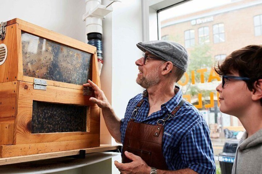 A man inspecting a wooden beehive with a glass cover, a window, and a brick building in the background. 5