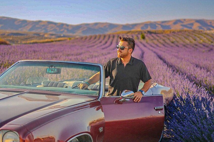 A vintage car parked in a field of purple flowers with a person standing beside it. 1