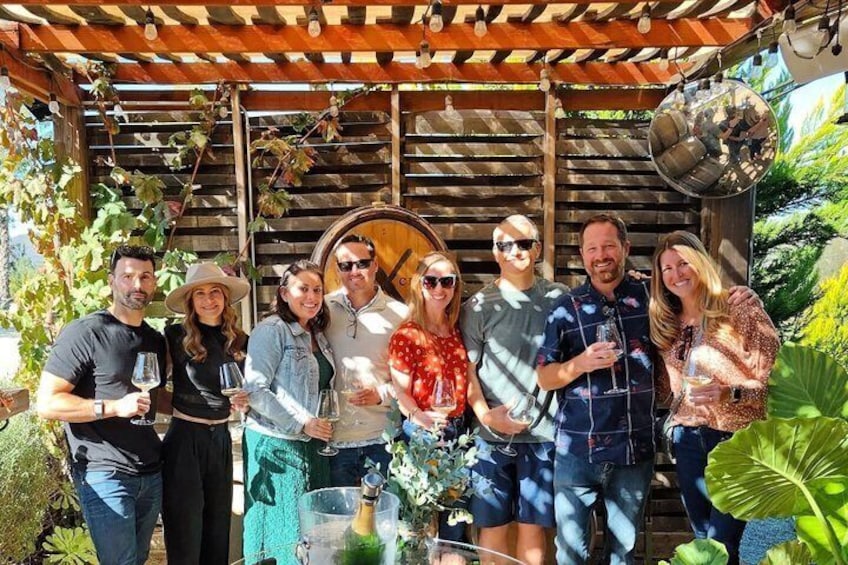 Wine Tasting Tour ONLY for Cruise Ship Visitors. ALL INCLUSIVE! 1