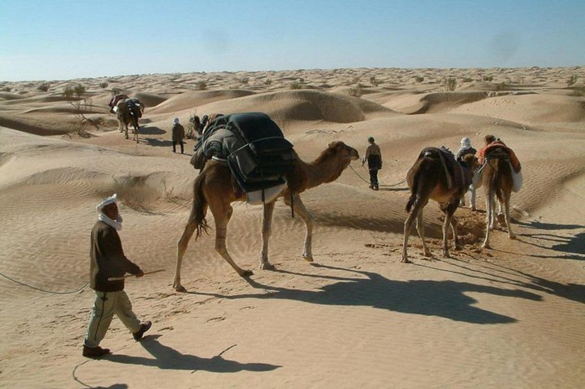A desert landscape with sand dunes and camels. 1
