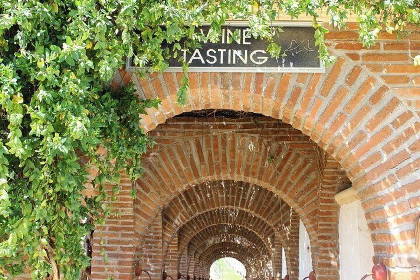 Valle de Guadalupe Private Driver and Vehicle 10 hours 3
