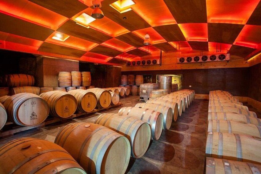 A cellar with wooden barrels arranged in rows, illuminated by warm lighting. 4