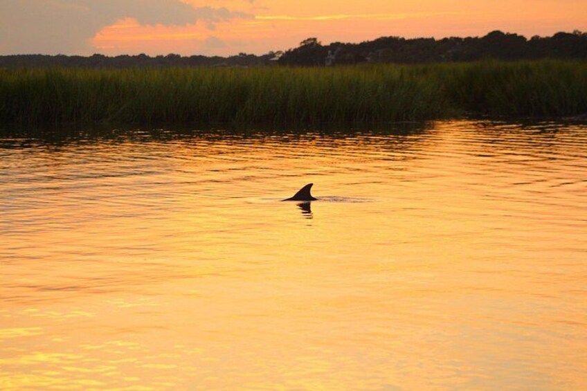 A body of water reflecting sunset colors, with a silhouette of a dolphin in the foreground. 4