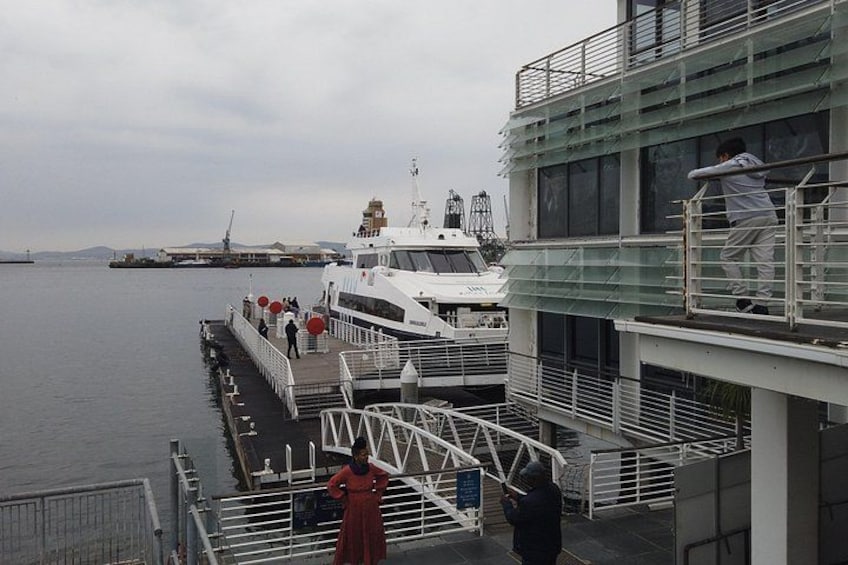 Cape Town: Robben Island tour, Tickets and Hotel Pickup included 3