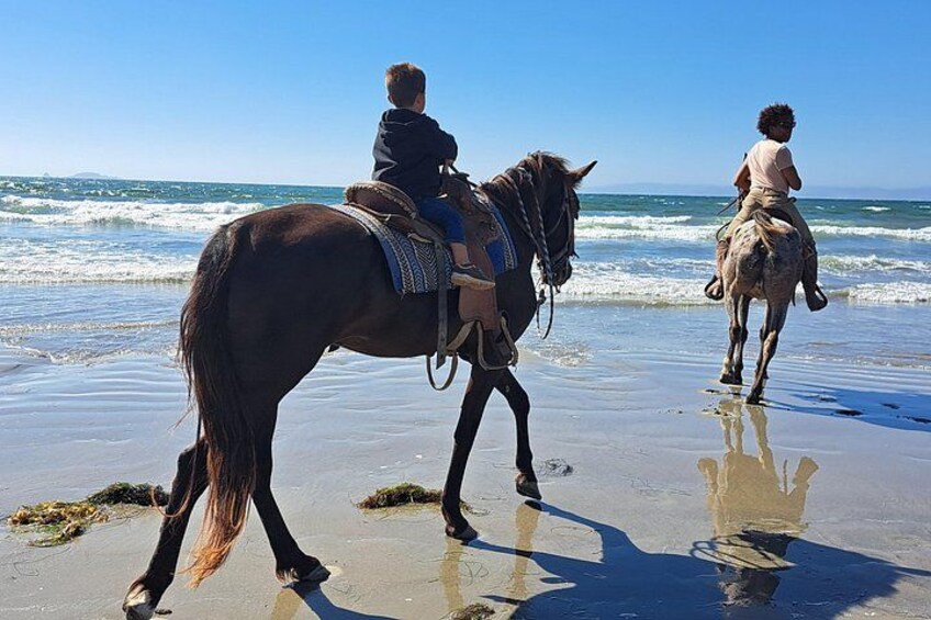 Horseback Riding on the Beach from Ensenada 2
