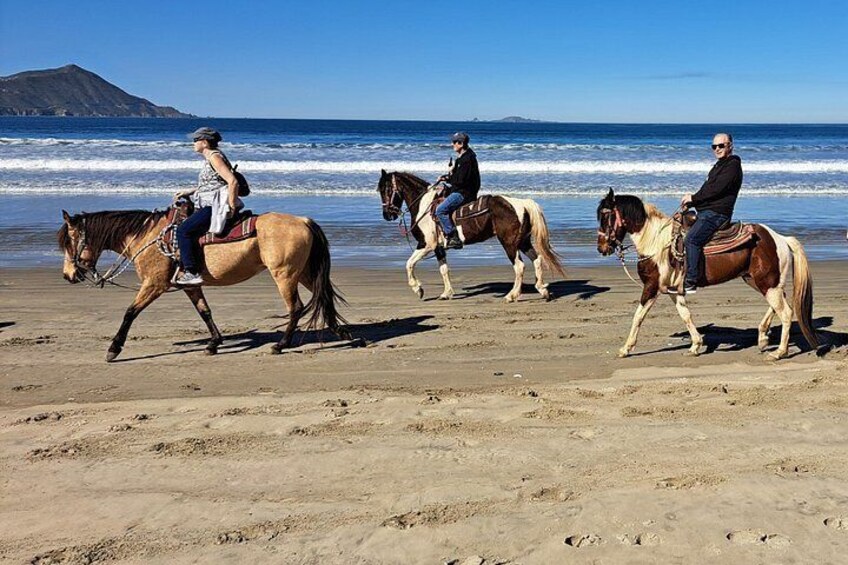Horseback Riding on the Beach from Ensenada 4