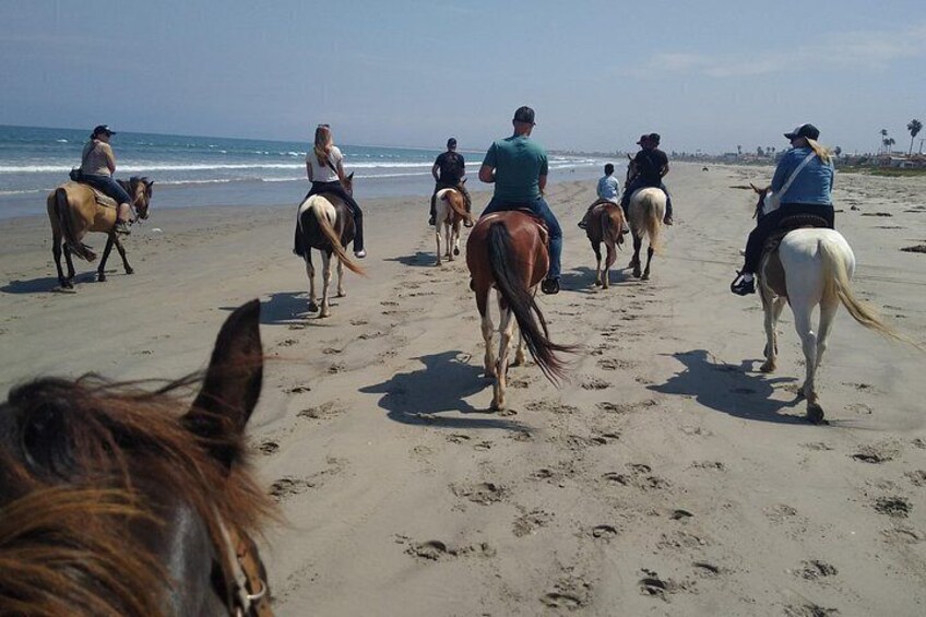 Horseback Riding on the Beach from Ensenada 3