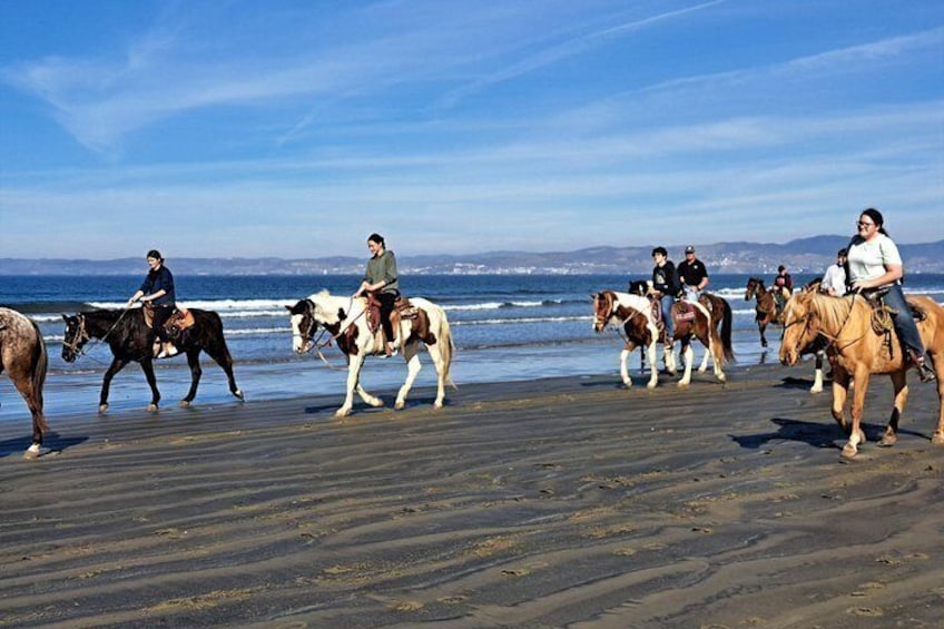 Horseback Riding on the Beach from Ensenada 2