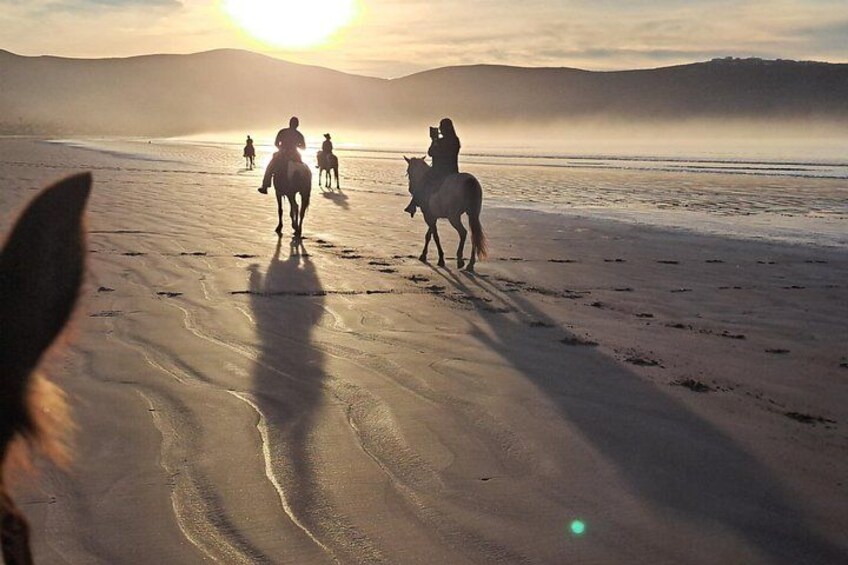 Horseback Riding on the Beach from Ensenada 1