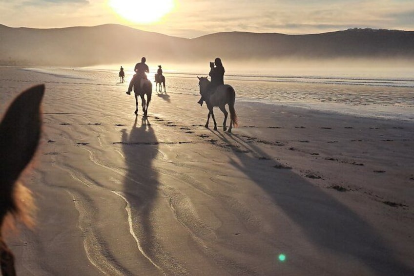Horseback Riding on the Beach from Ensenada 1